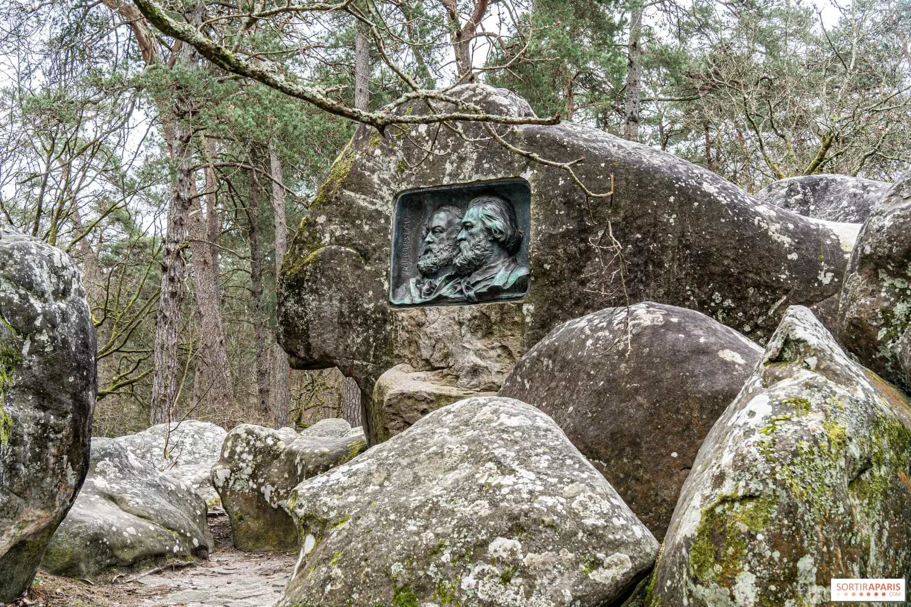 Mohával borított nagy sziklák az erdőben, emléktáblával