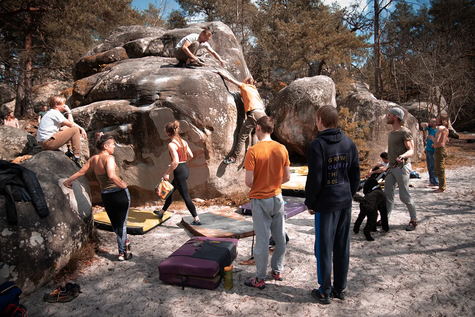 Iyengar jóga, túra és boulder tábor Fontainebleau-ban