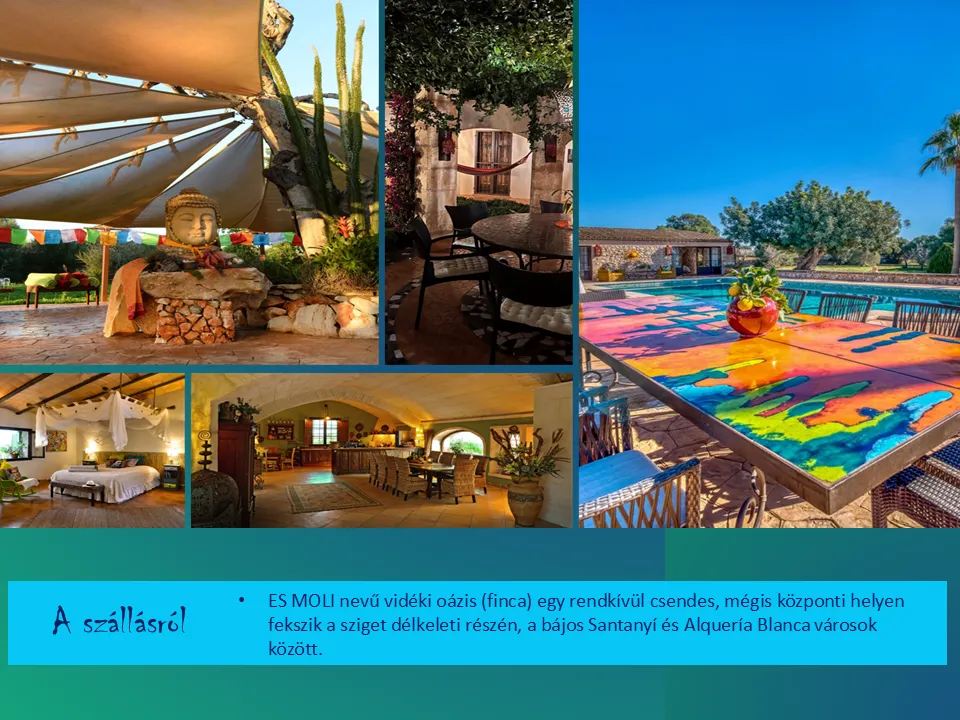 Notion image